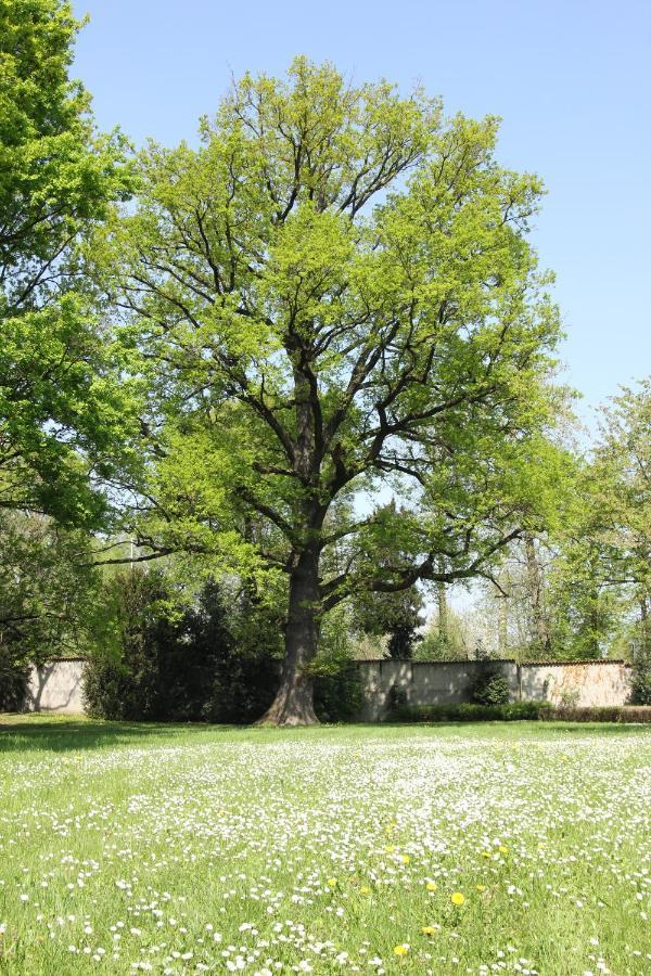 Storica Quercia B&B Nerviano ภายนอก รูปภาพ